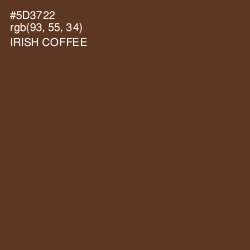 #5D3722 - Irish Coffee Color Image